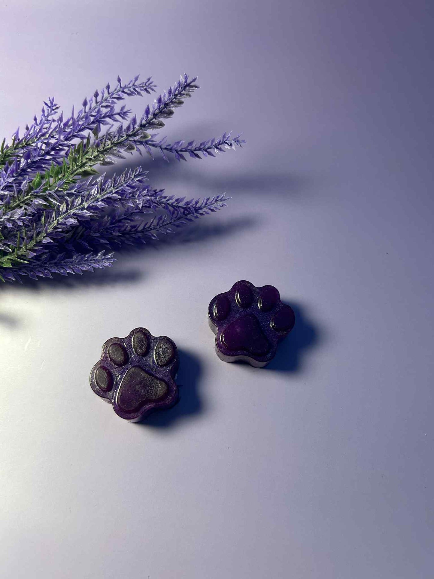 CELUXE Premium Paw Shape Wax Melts