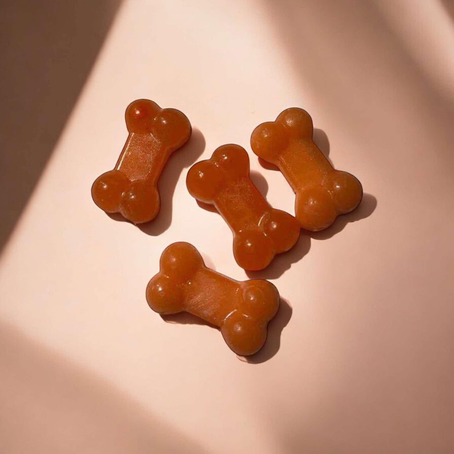 CELUXE Premium Bone Shape Wax Melts