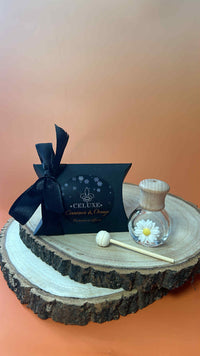 CELUXE Premium Christmas Daisy Diffuser 10ml LIMITED EDITION